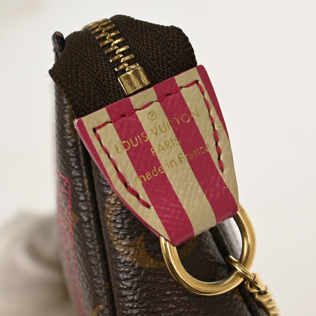 Louis Vuitton Pochette Accessoires Limited Edition Monogram Canvas Brown Canvas Clutche & Pouche Bag (Pre-Owned)
