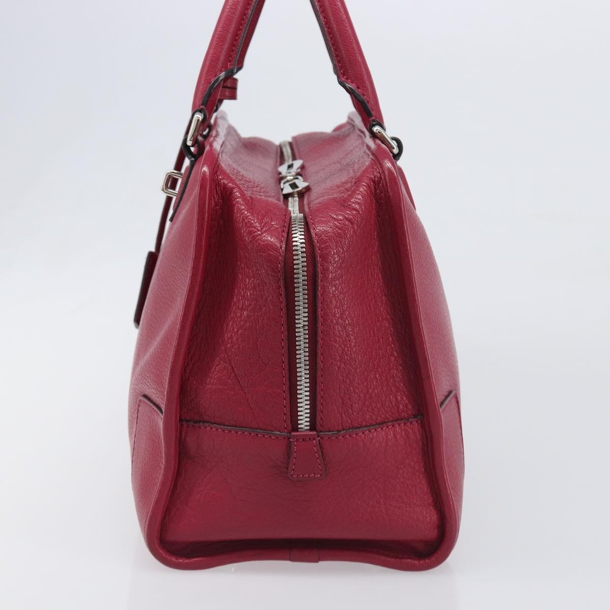 Loewe Amazona Leather Red Leather Handbag (Pre-Owned)