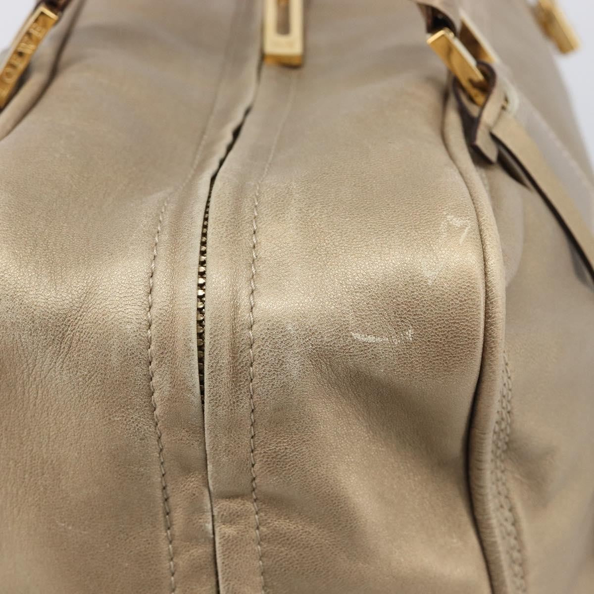 Loewe Amazona Leather Gold Leather Handbag (Pre-Owned)