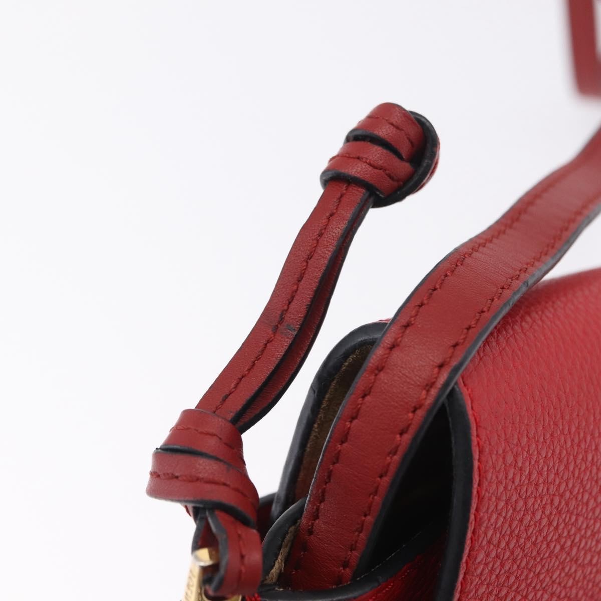 Loewe Metal Gate Leather Red Leather Shoulder Bag Bag (Pre-Owned)