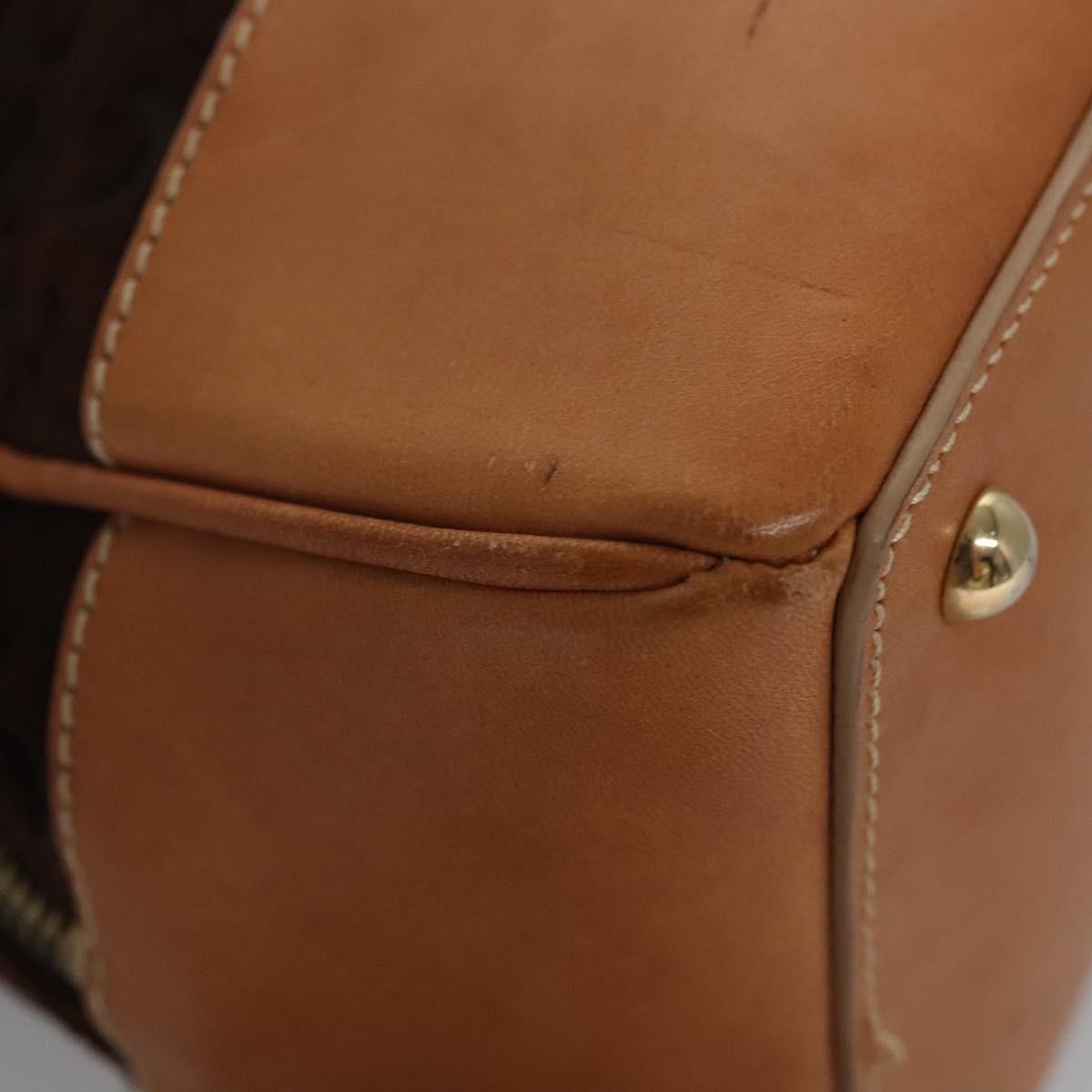 Celine C Macadam Canvas Brown Canvas Handbag (Pre-Owned)