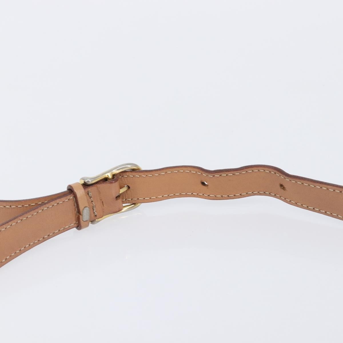 Celine Macadam Shoulder Canvas Brown Canvas Crossbody Bag Bag (Pre-Owned)