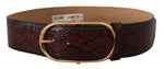 Dolce & Gabbana Elegant Red Python Leather Belt with Gold Women's Buckle