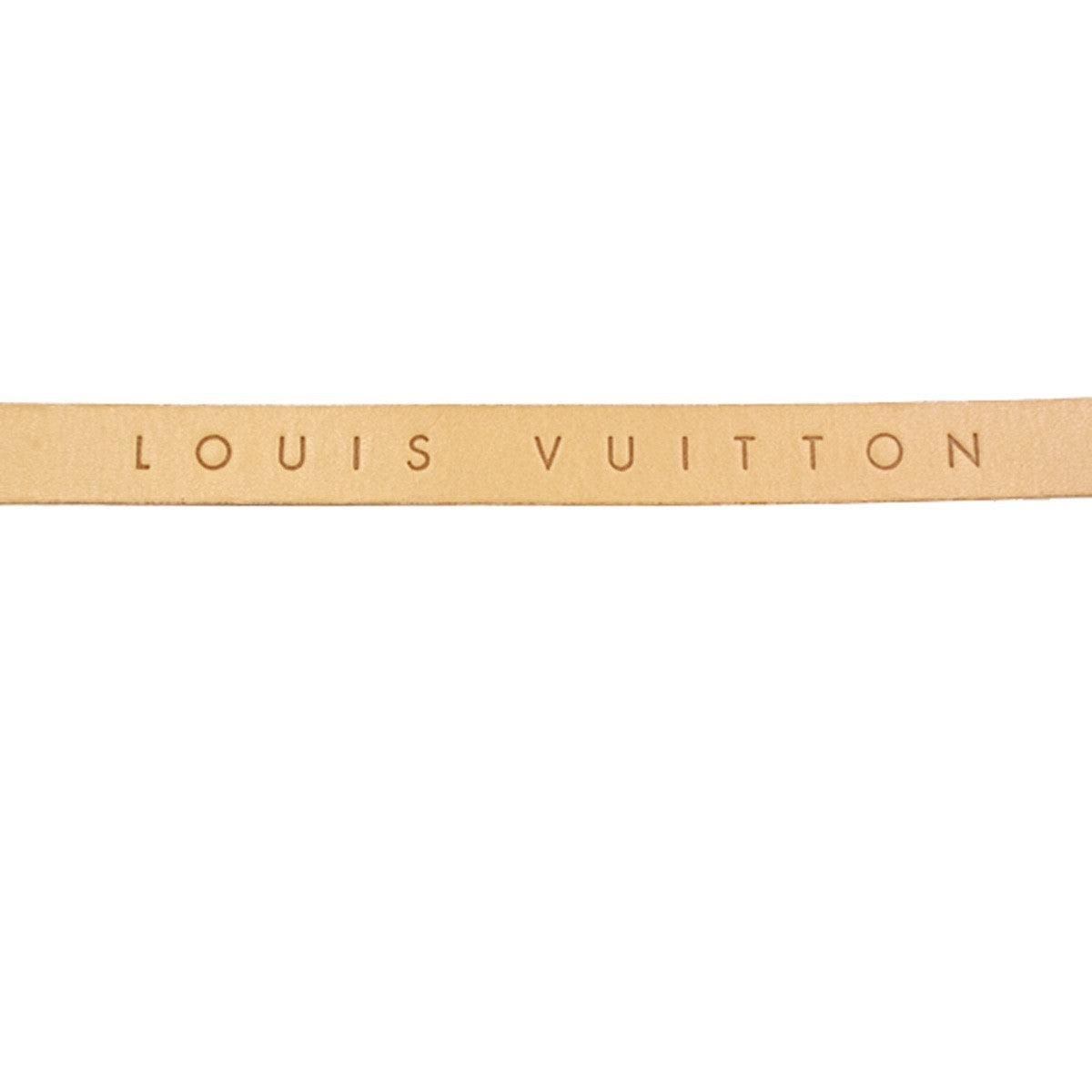 Louis Vuitton Florentine Waist Bag Monogram Canvas Brown Canvas Clutche & Pouche Bag (Pre-Owned)
