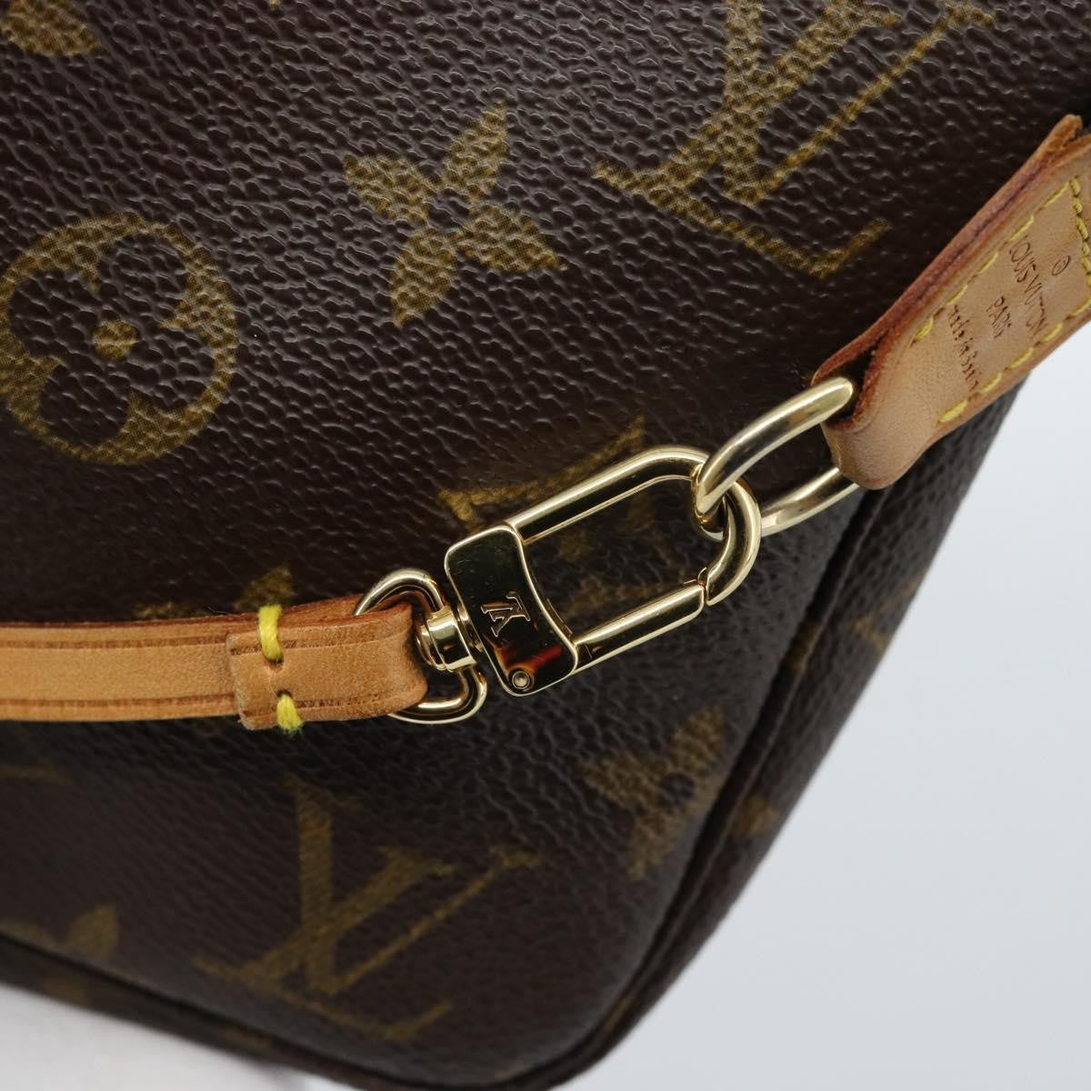 Louis Vuitton Pochette Accessoires Nm Monogram Canvas Brown Canvas Clutche & Pouche Bag (Pre-Owned)