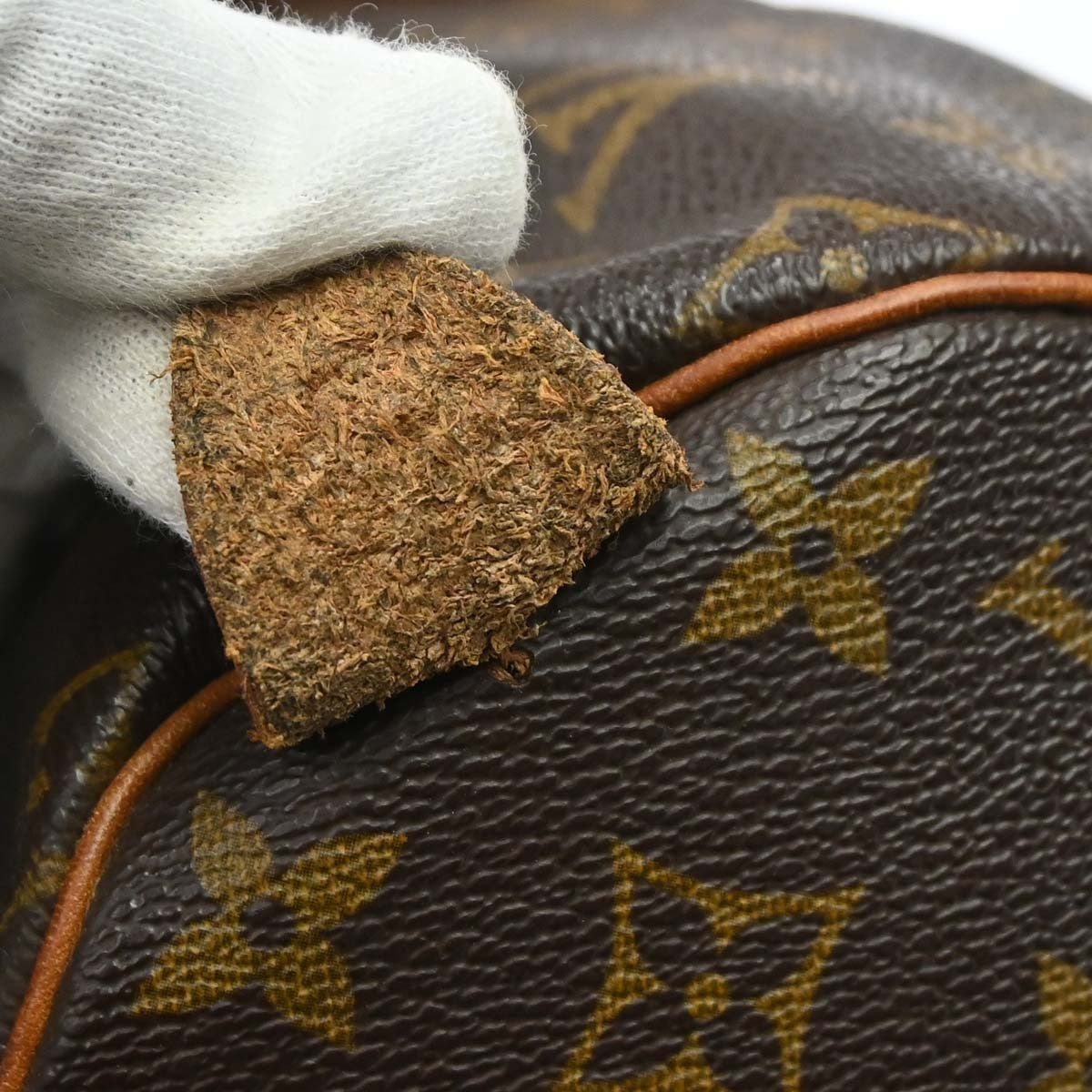 Louis Vuitton Speedy Handbag Monogram Canvas Brown Canvas Handbag (Pre-Owned)