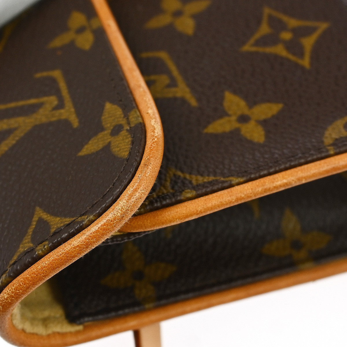 Louis Vuitton Florentine Waist Bag Monogram Canvas Brown Canvas Clutche & Pouche Bag (Pre-Owned)