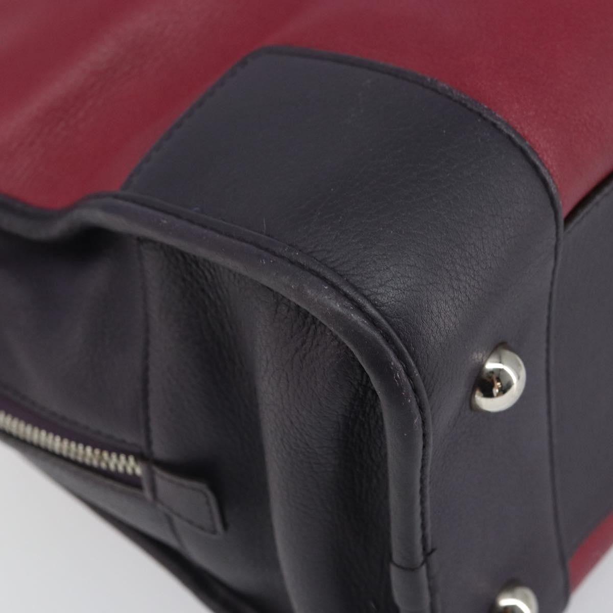 Loewe Amazona Bag Leather Red Leather Handbag (Pre-Owned)