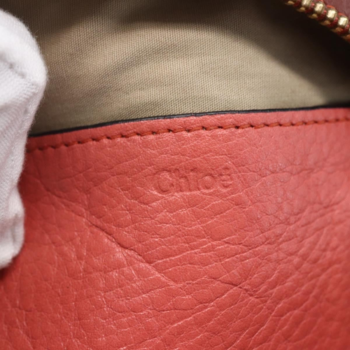 Chloe Zip Clutch Leather Brown Leather Clutche & Pouche Bag (Pre-Owned)