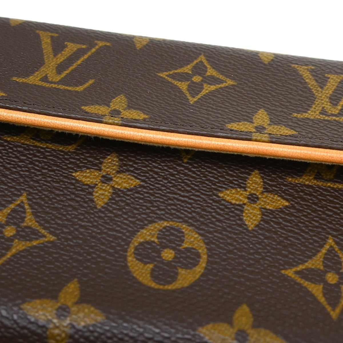 Louis Vuitton Florentine Waist Bag Monogram Canvas Brown Canvas Clutche & Pouche Bag (Pre-Owned)