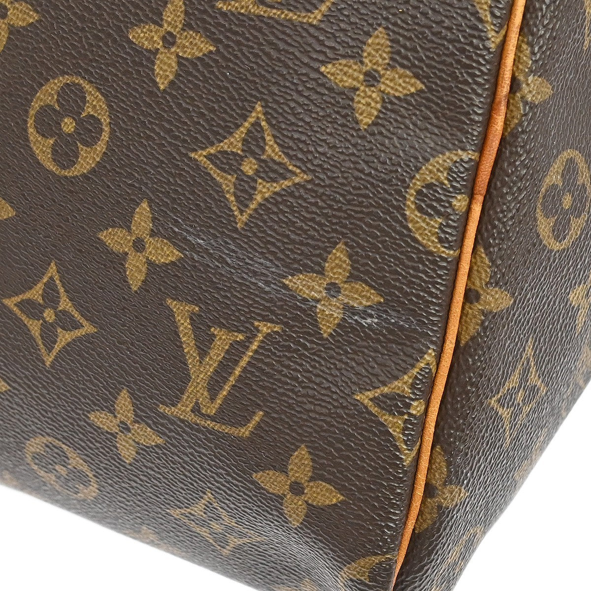 Louis Vuitton Speedy Handbag Monogram Canvas Brown Canvas Handbag (Pre-Owned)