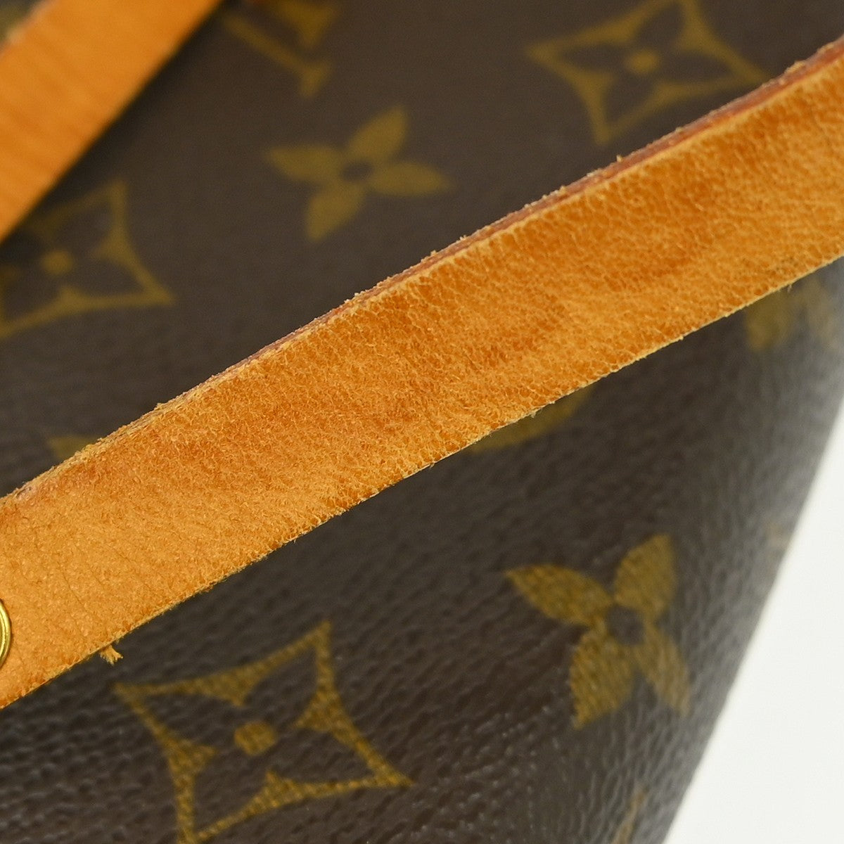 Louis Vuitton Florentine Waist Bag Monogram Canvas Brown Canvas Clutche & Pouche Bag (Pre-Owned)