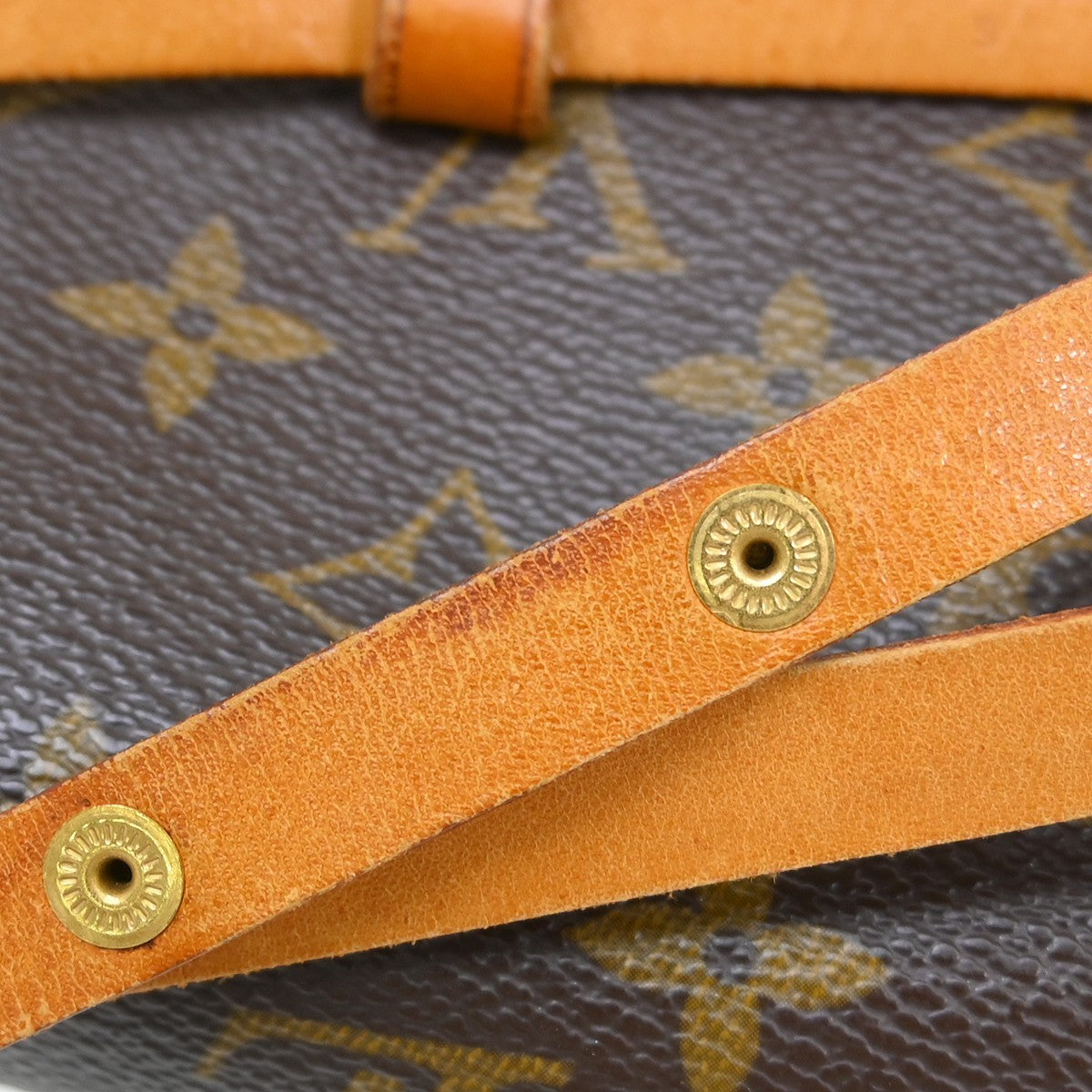 Louis Vuitton Florentine Waist Bag Monogram Canvas Brown Canvas Clutche & Pouche Bag (Pre-Owned)