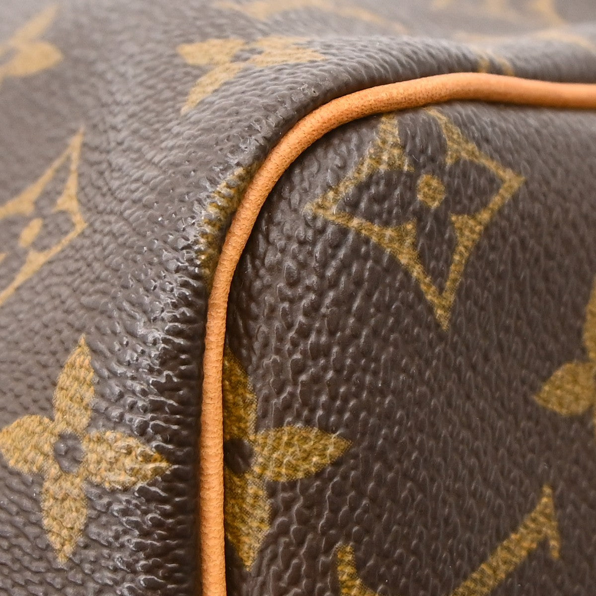 Louis Vuitton Speedy Handbag Monogram Canvas Brown Canvas Handbag (Pre-Owned)