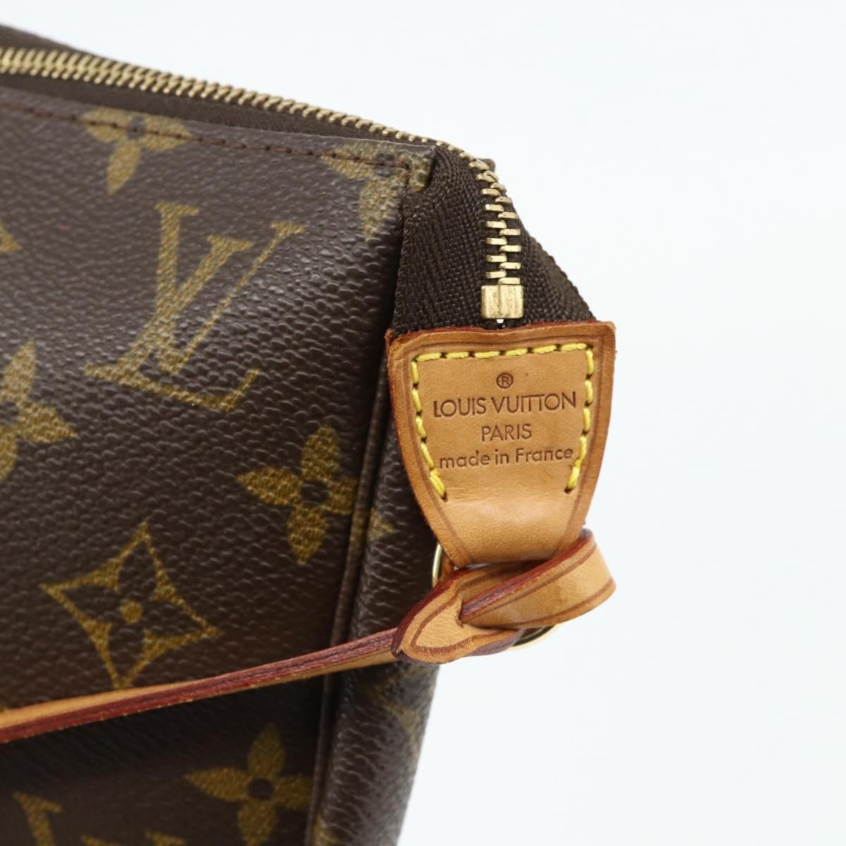 Louis Vuitton Pochette Accessoires Monogram Canvas Brown Canvas Clutche & Pouche Bag (Pre-Owned)