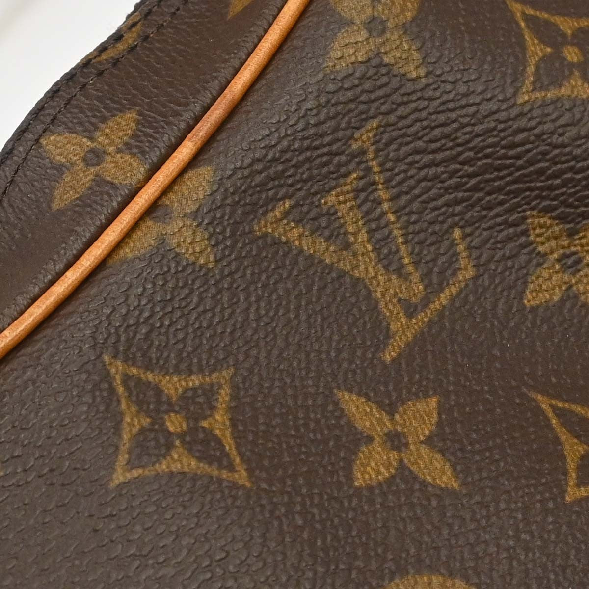 Louis Vuitton Croissant Handbag Monogram Canvas Brown Canvas Handbag (Pre-Owned)