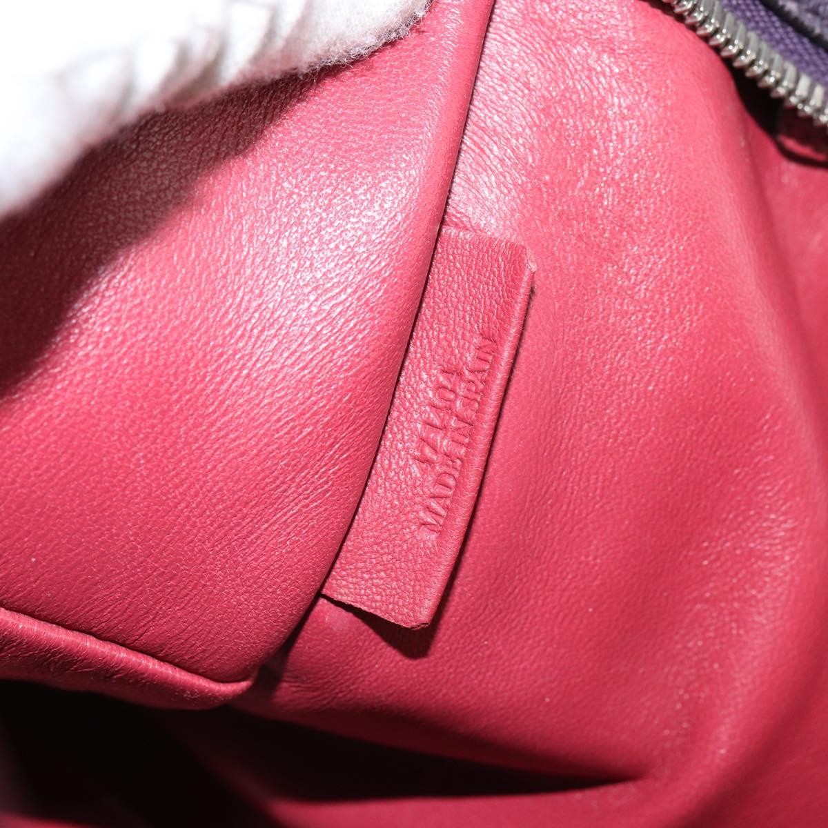 Loewe Amazona Bag Leather Red Leather Handbag (Pre-Owned)