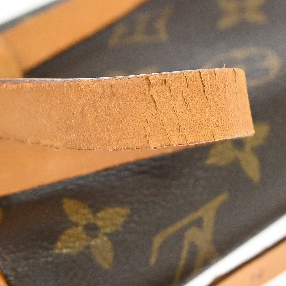 Louis Vuitton Florentine Waist Bag Monogram Canvas Brown Canvas Clutche & Pouche Bag (Pre-Owned)