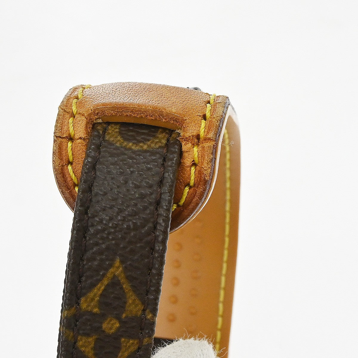 Louis Vuitton Amazone Bag Monogram Canvas Brown Canvas Shoulder Bag Bag (Pre-Owned)