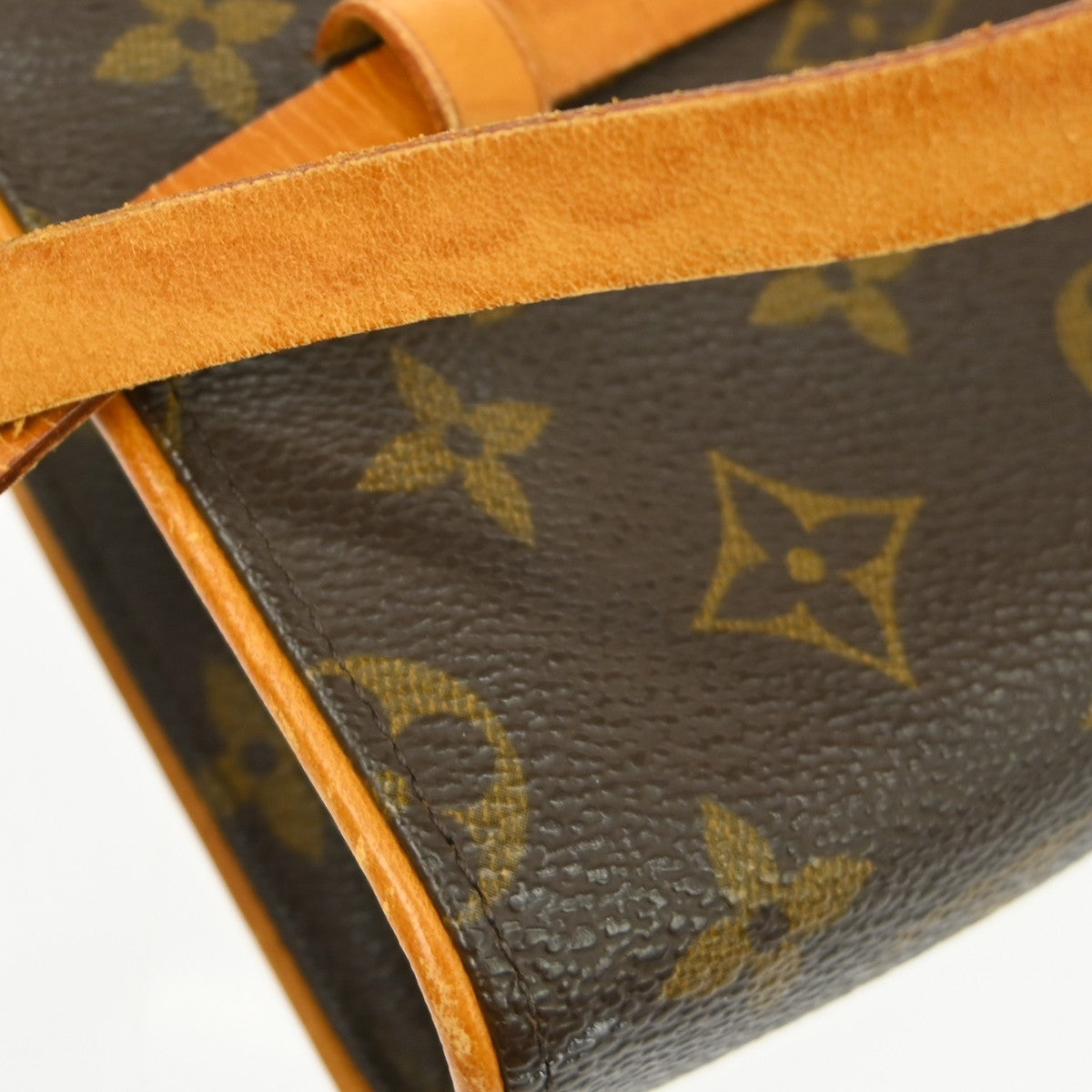 Louis Vuitton Florentine Waist Bag Monogram Canvas Brown Canvas Clutche & Pouche Bag (Pre-Owned)