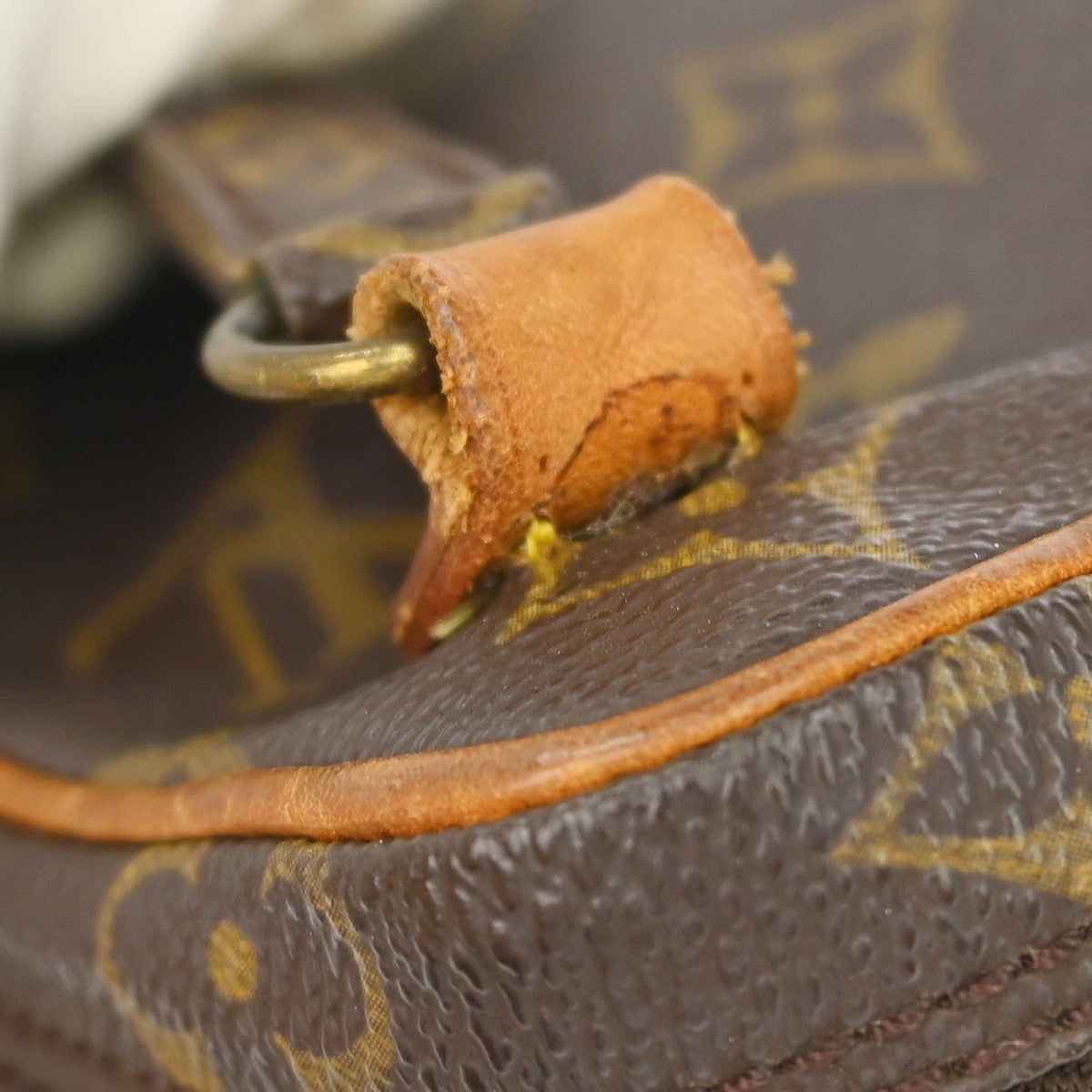 Louis Vuitton Amazone Bag Monogram Canvas Brown Canvas Shoulder Bag Bag (Pre-Owned)