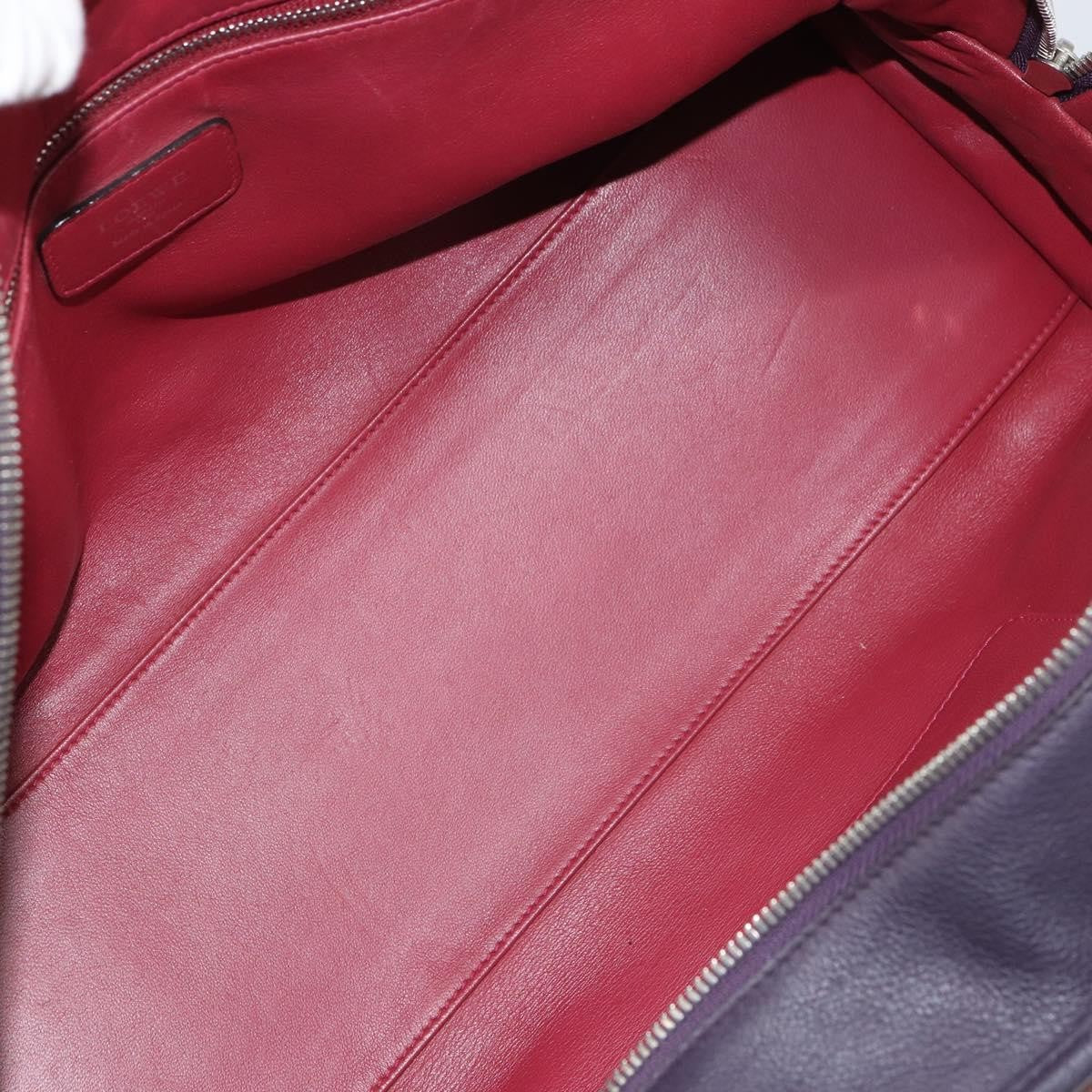 Loewe Amazona Bag Leather Red Leather Handbag (Pre-Owned)