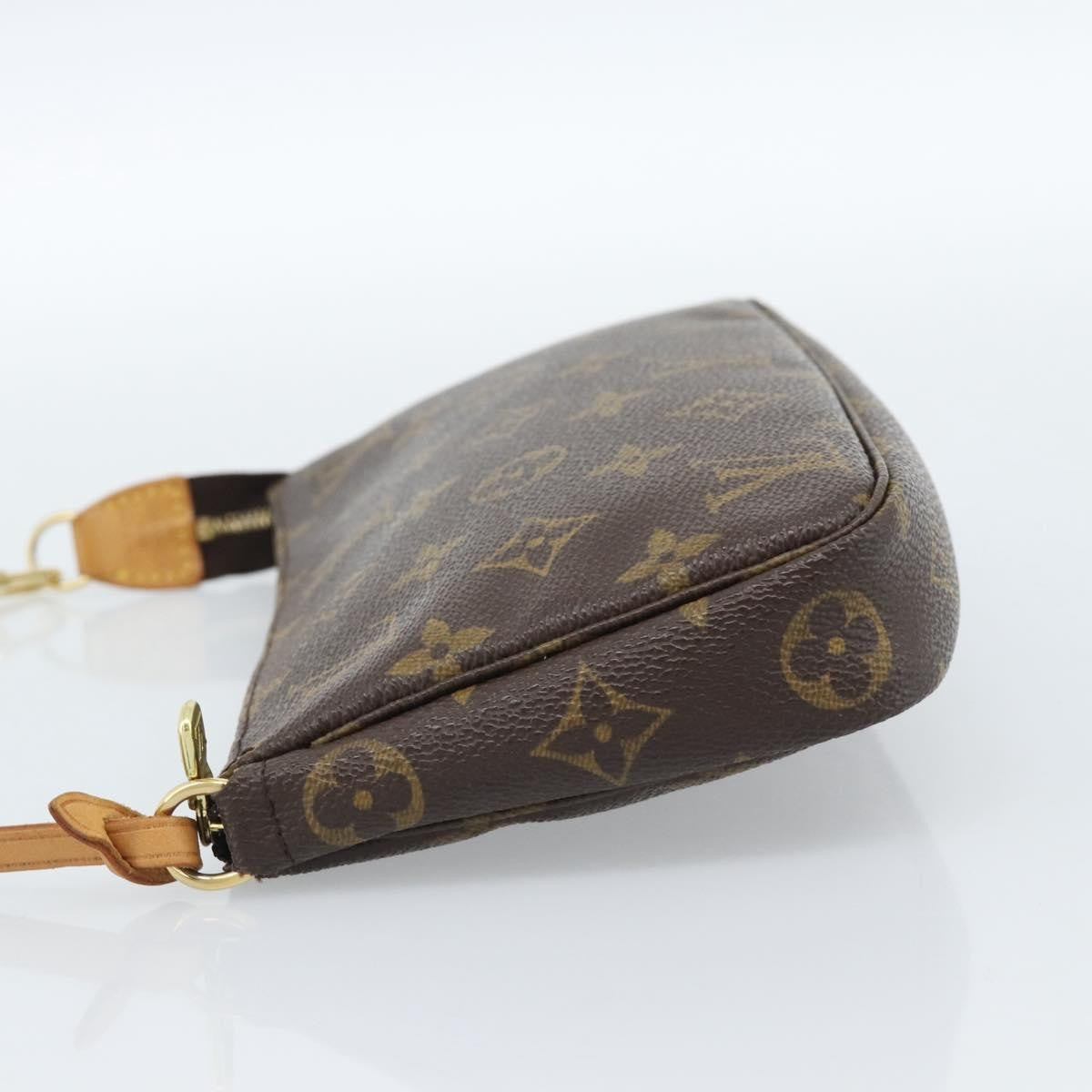Louis Vuitton Pochette Accessoires Nm Monogram Canvas Brown Canvas Clutche & Pouche Bag (Pre-Owned)