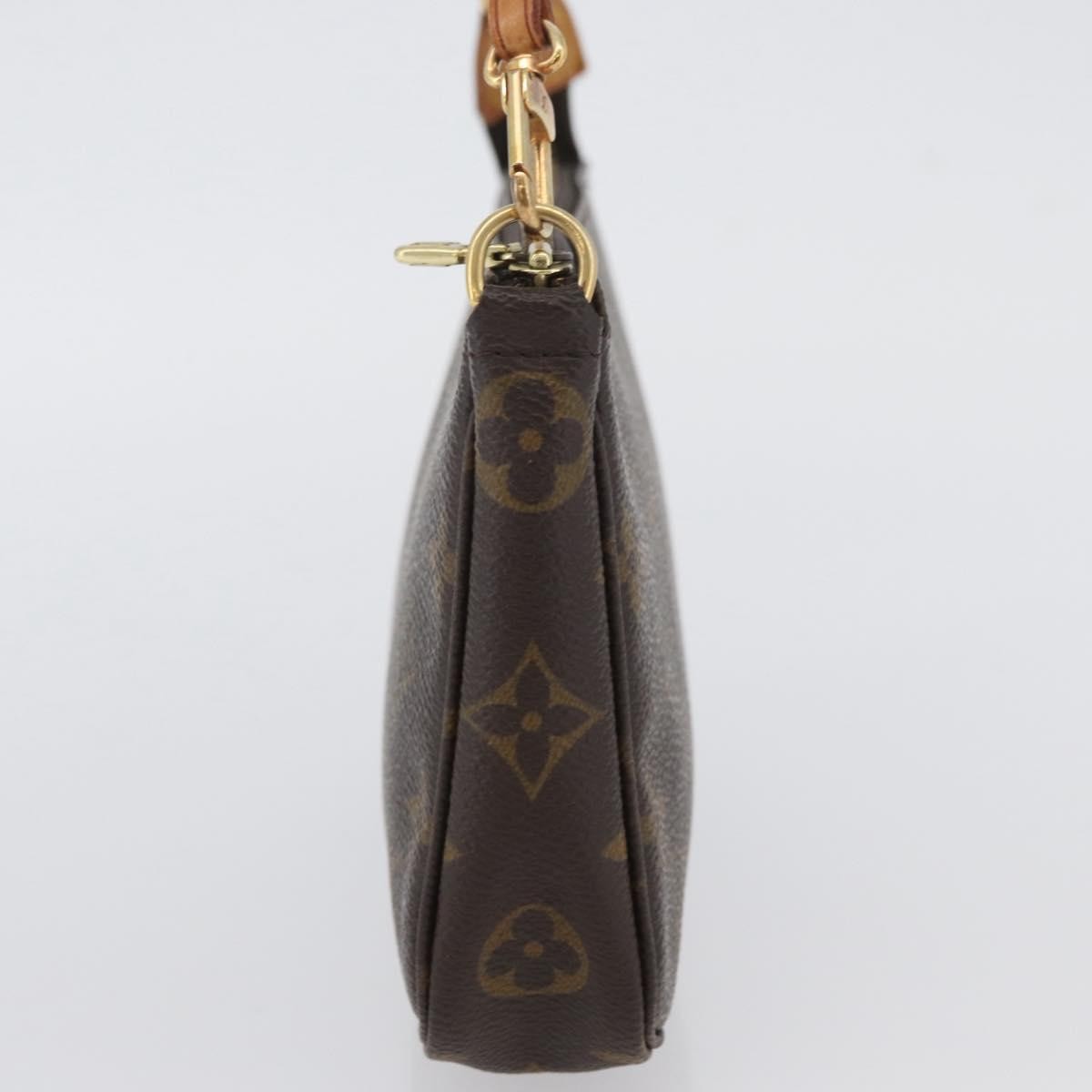 Louis Vuitton Pochette Accessoires Nm Monogram Canvas Brown Canvas Clutche & Pouche Bag (Pre-Owned)