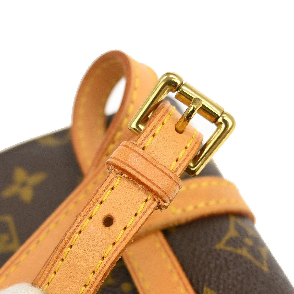 Louis Vuitton Marelle Waist Bag Monogram Canvas Brown Canvas Clutche & Pouche Bag (Pre-Owned)