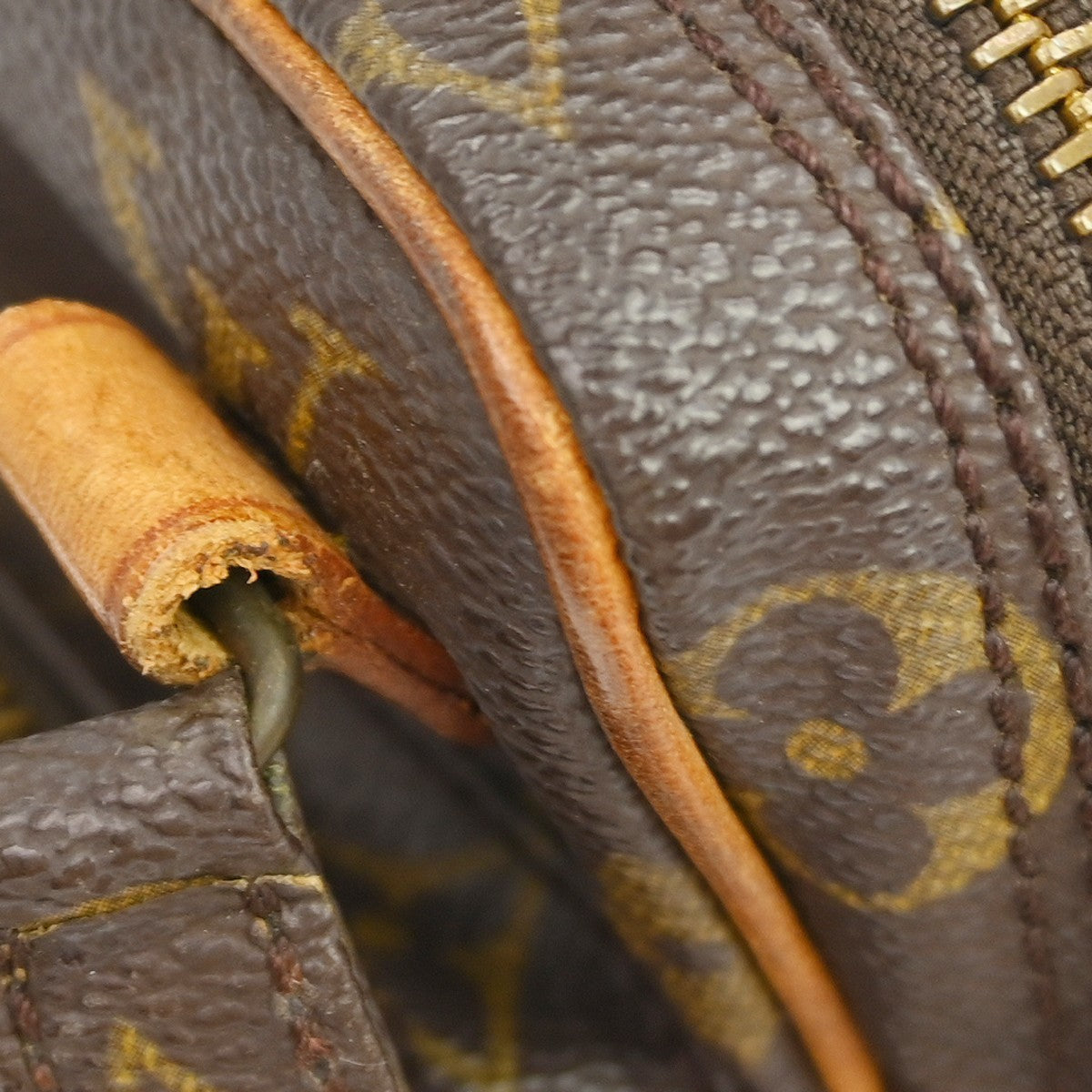 Louis Vuitton Amazone Bag Monogram Canvas Brown Canvas Shoulder Bag Bag (Pre-Owned)