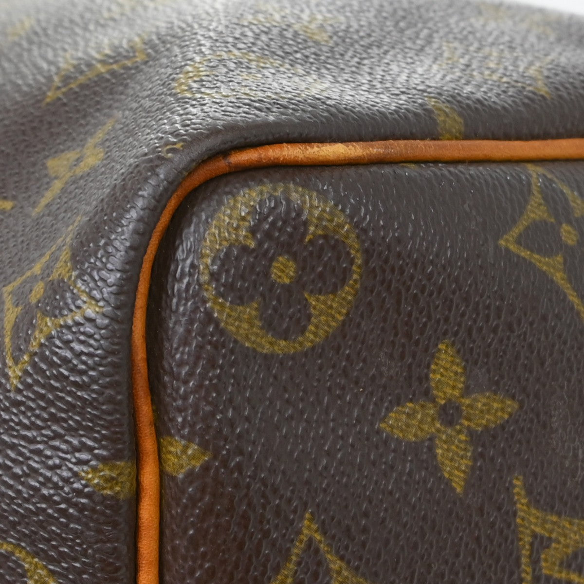 Louis Vuitton Speedy Handbag Monogram Canvas Brown Canvas Handbag (Pre-Owned)