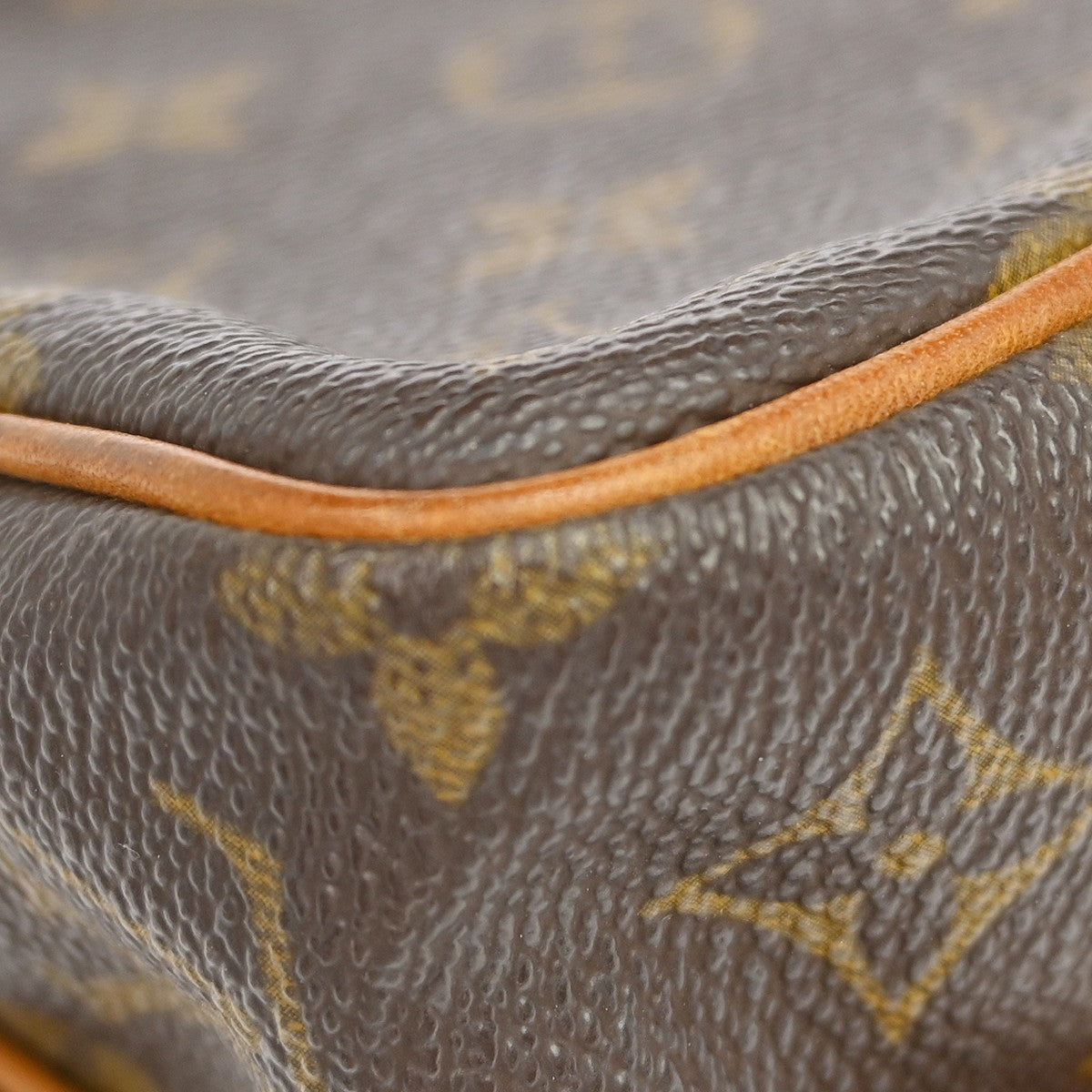 Louis Vuitton Amazone Bag Monogram Canvas Brown Canvas Clutche & Pouche Bag (Pre-Owned)