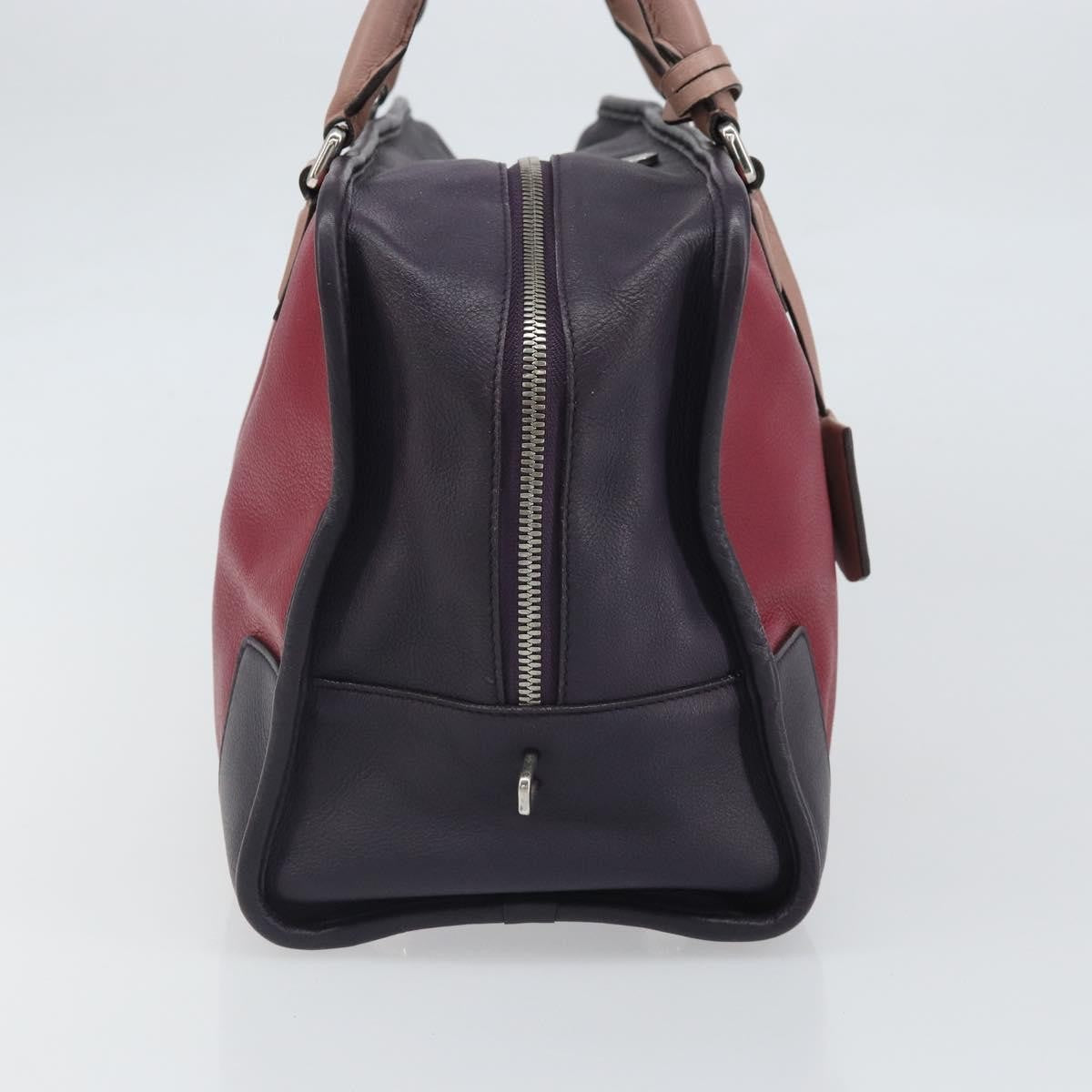 Loewe Amazona Bag Leather Red Leather Handbag (Pre-Owned)