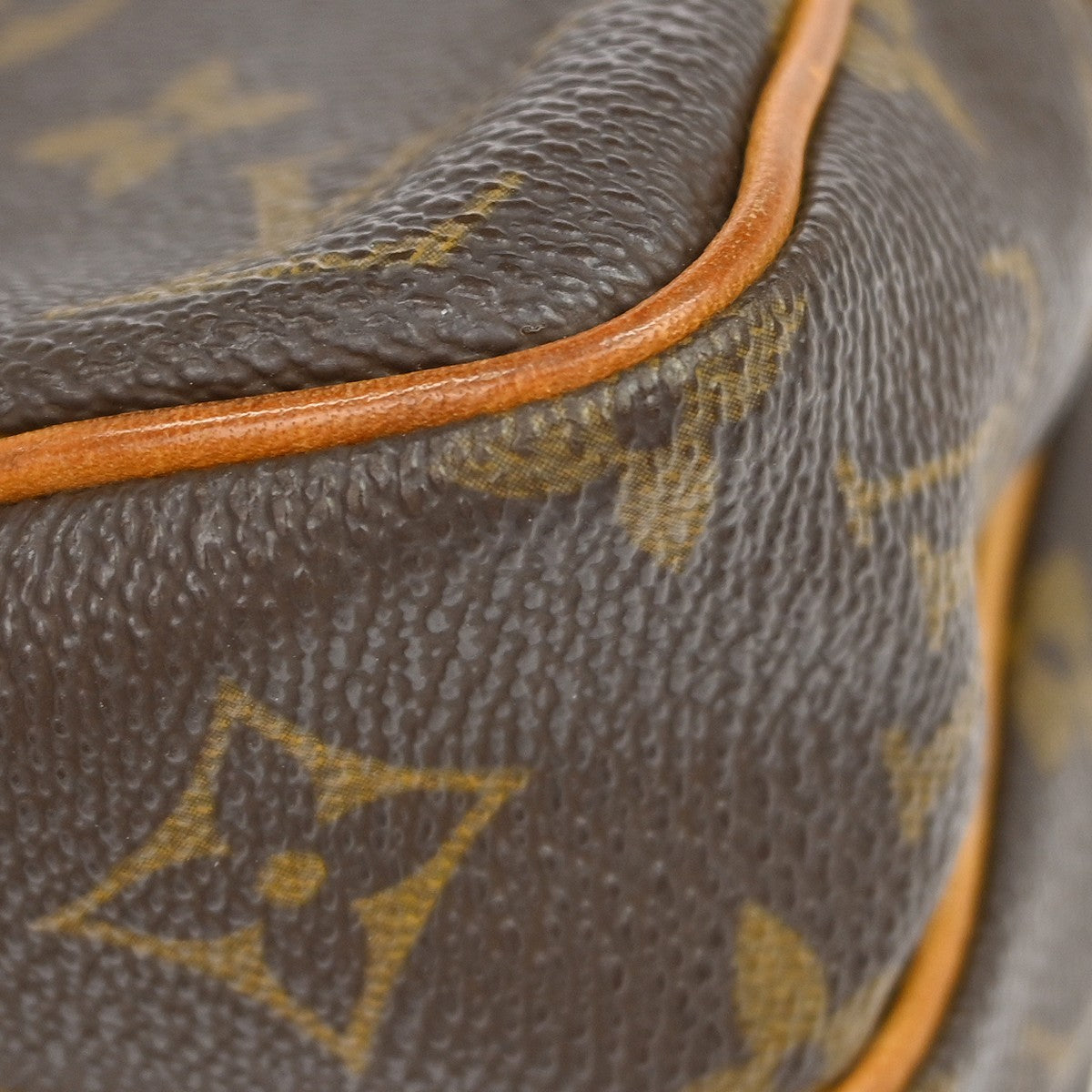 Louis Vuitton Amazone Bag Monogram Canvas Brown Canvas Clutche & Pouche Bag (Pre-Owned)