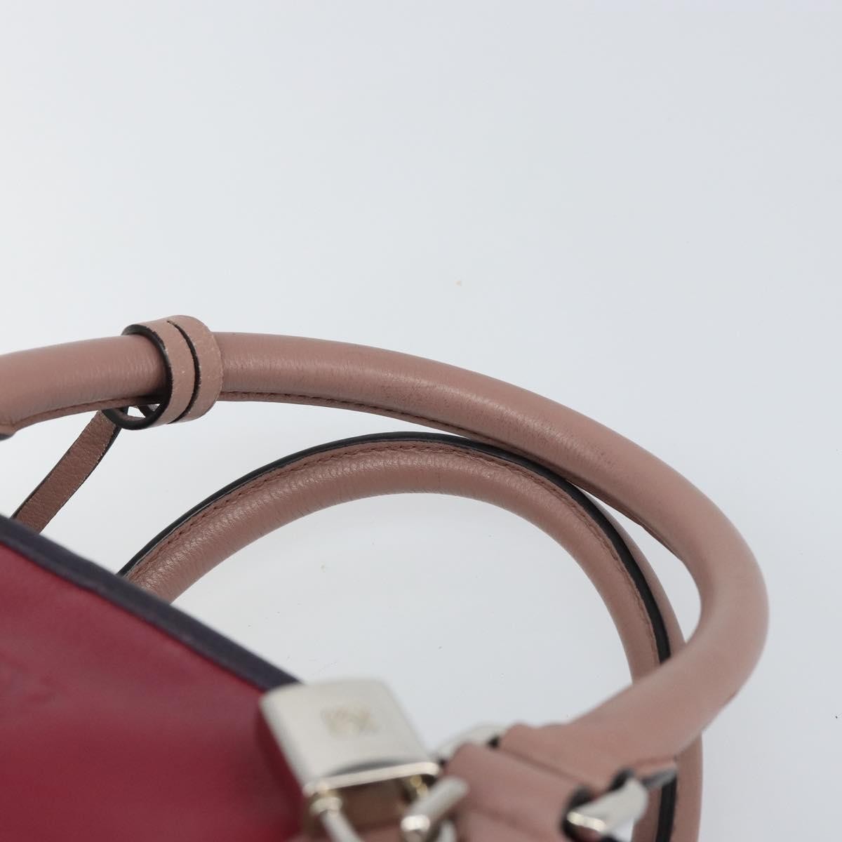 Loewe Amazona Bag Leather Red Leather Handbag (Pre-Owned)