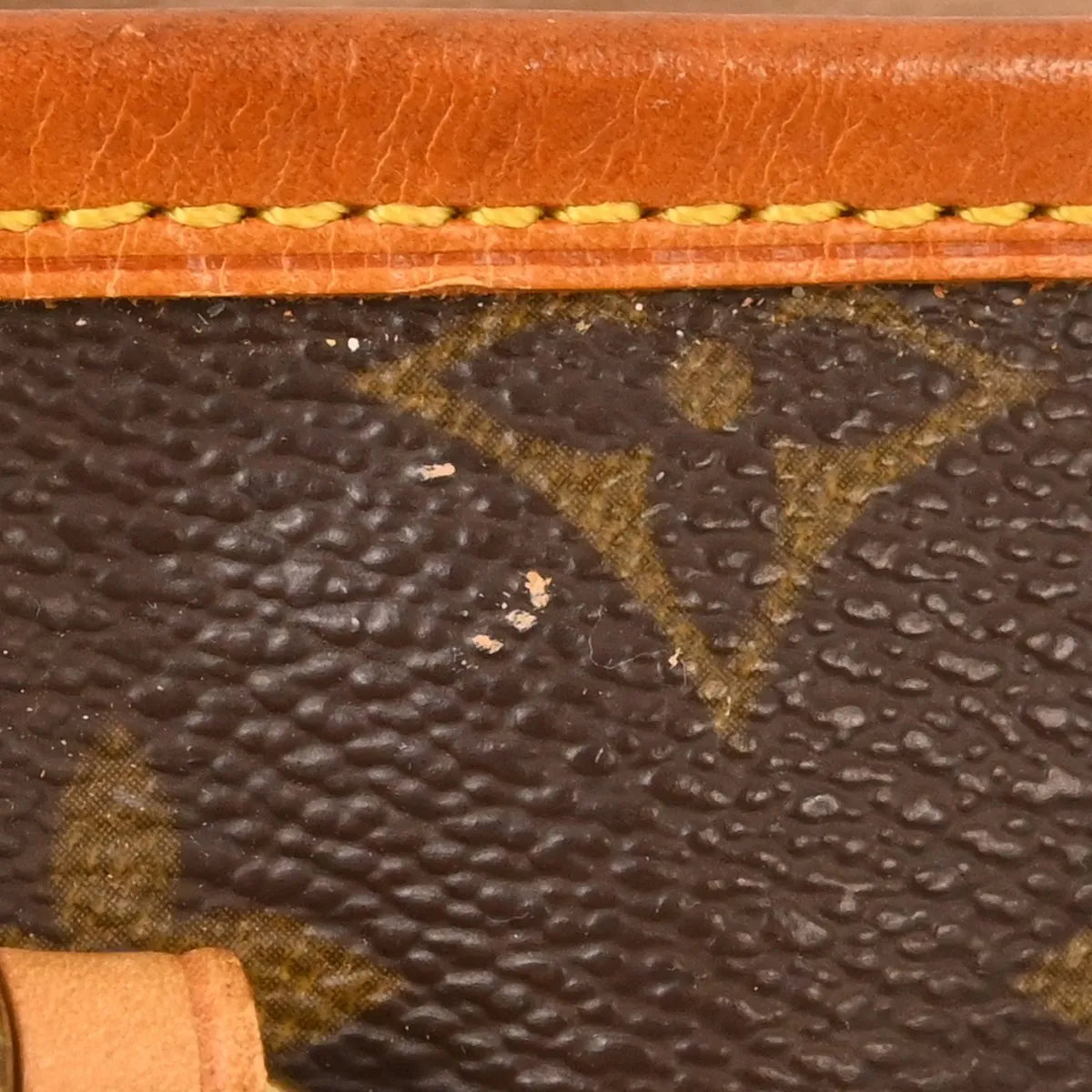 Louis Vuitton Bucket Monogram Canvas Brown Canvas Tote Bag Bag (Pre-Owned)