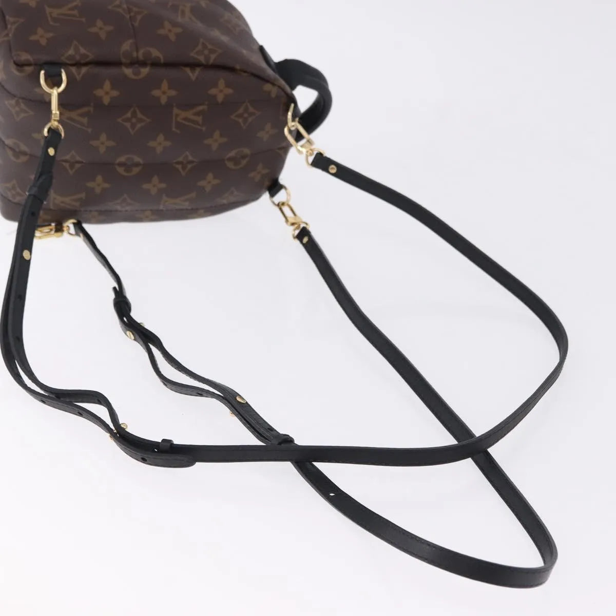Louis Vuitton Palm Springs Monogram Brown Canvas Backpack Bag (Pre-Owned)