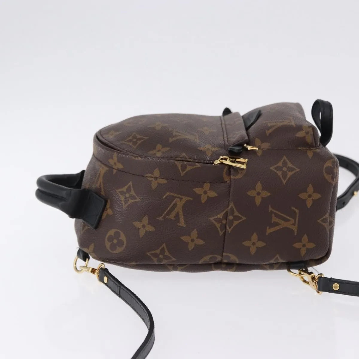 Louis Vuitton Palm Springs Monogram Brown Canvas Backpack Bag (Pre-Owned)