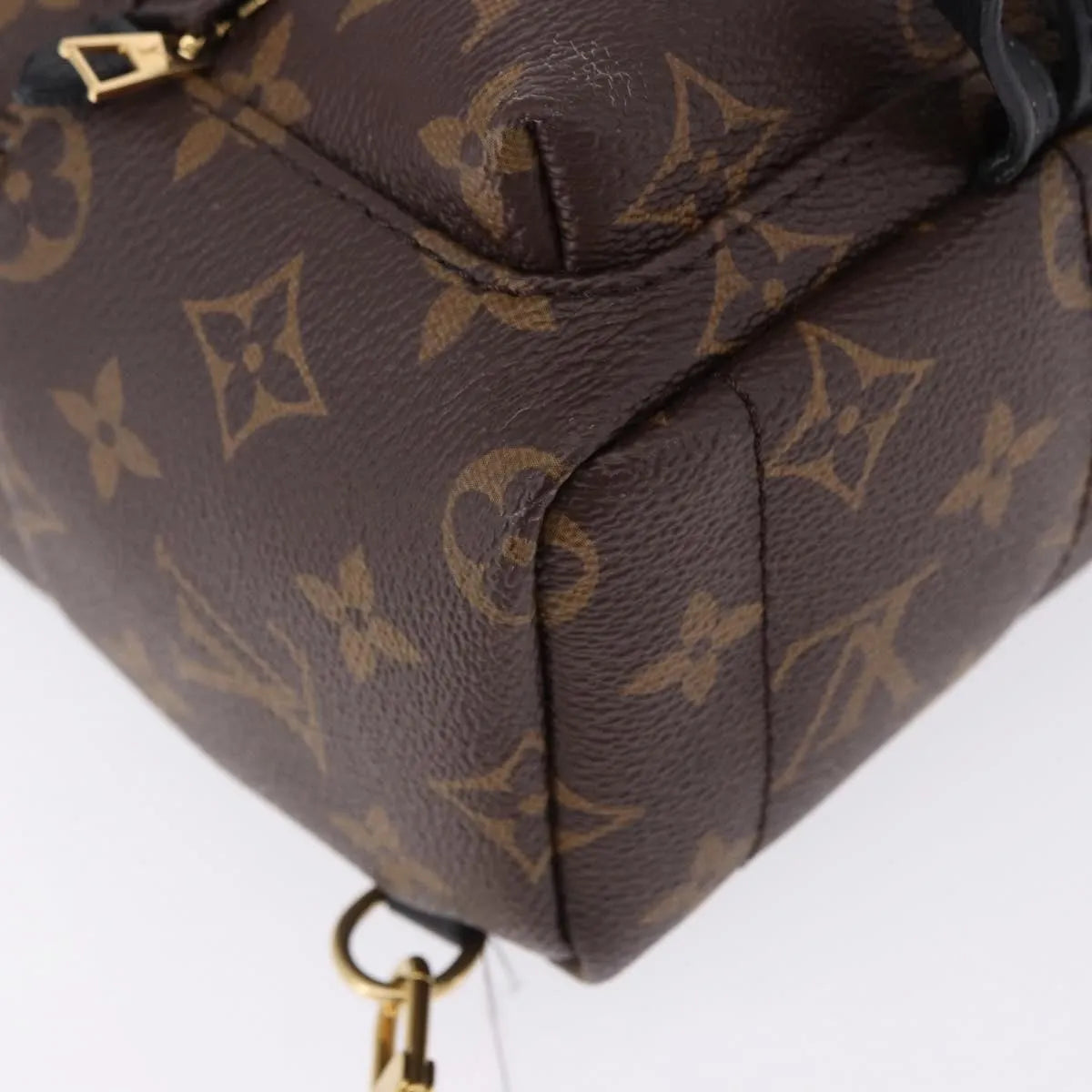 Louis Vuitton Palm Springs Monogram Brown Canvas Backpack Bag (Pre-Owned)