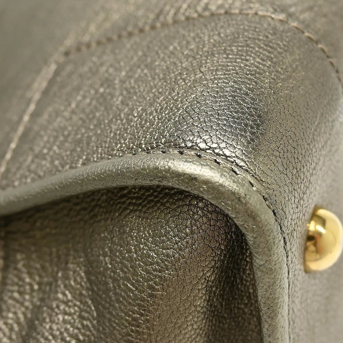 Loewe Amazona Leather Gold Leather Handbag (Pre-Owned)