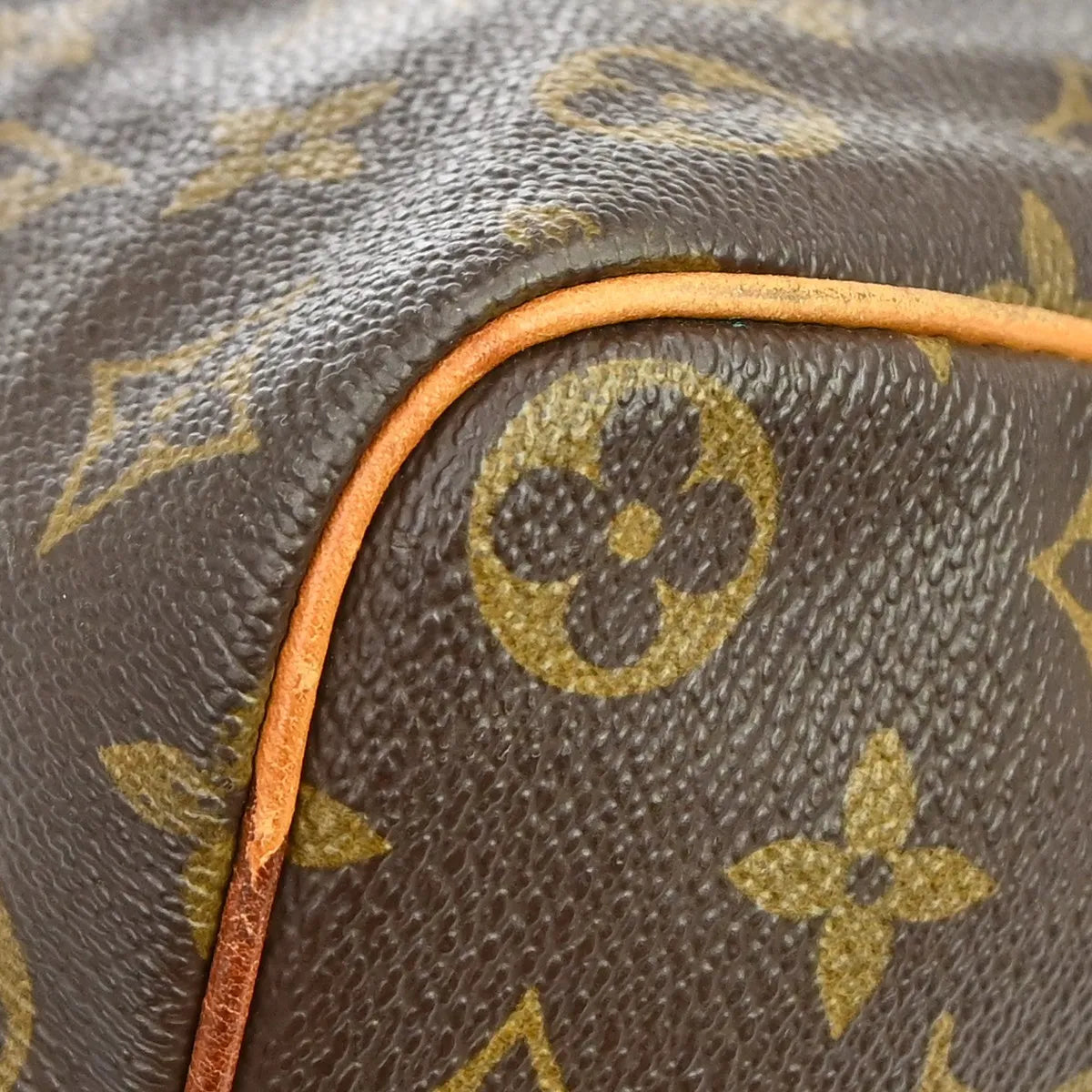 Louis Vuitton Speedy Monogram Canvas Brown Canvas Handbag (Pre-Owned)