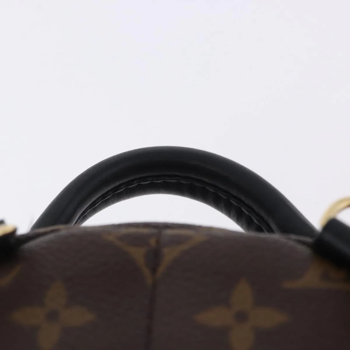 Louis Vuitton Palm Springs Monogram Brown Canvas Backpack Bag (Pre-Owned)