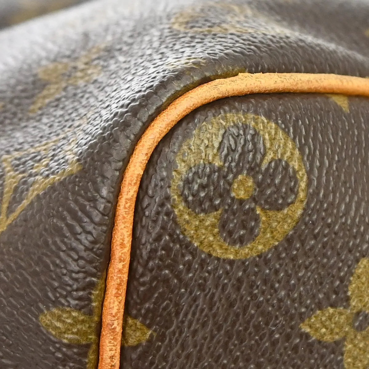 Louis Vuitton Speedy Monogram Canvas Brown Canvas Handbag (Pre-Owned)