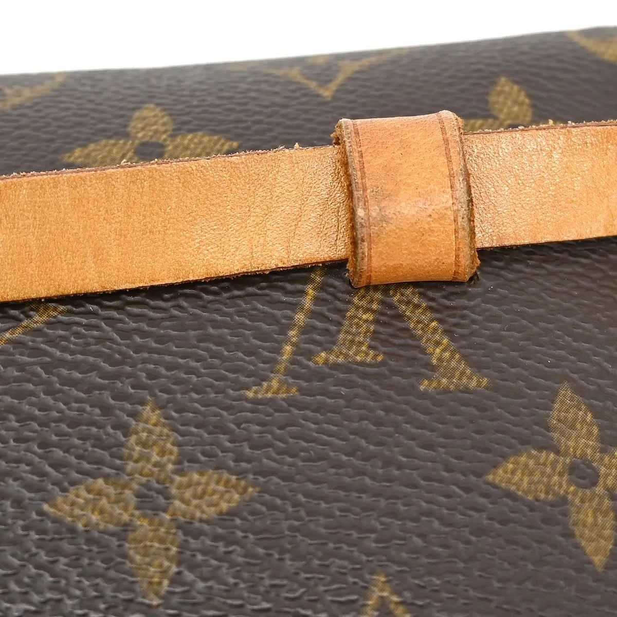 Louis Vuitton Florentine Waist Monogram Canvas Brown Canvas Clutche & Pouche Bag (Pre-Owned)