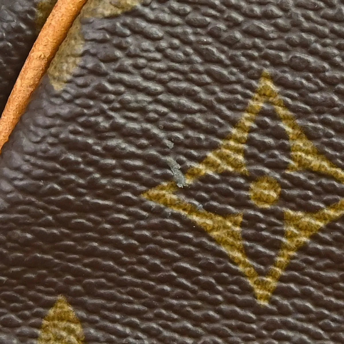 Louis Vuitton Speedy Monogram Canvas Brown Canvas Handbag (Pre-Owned)