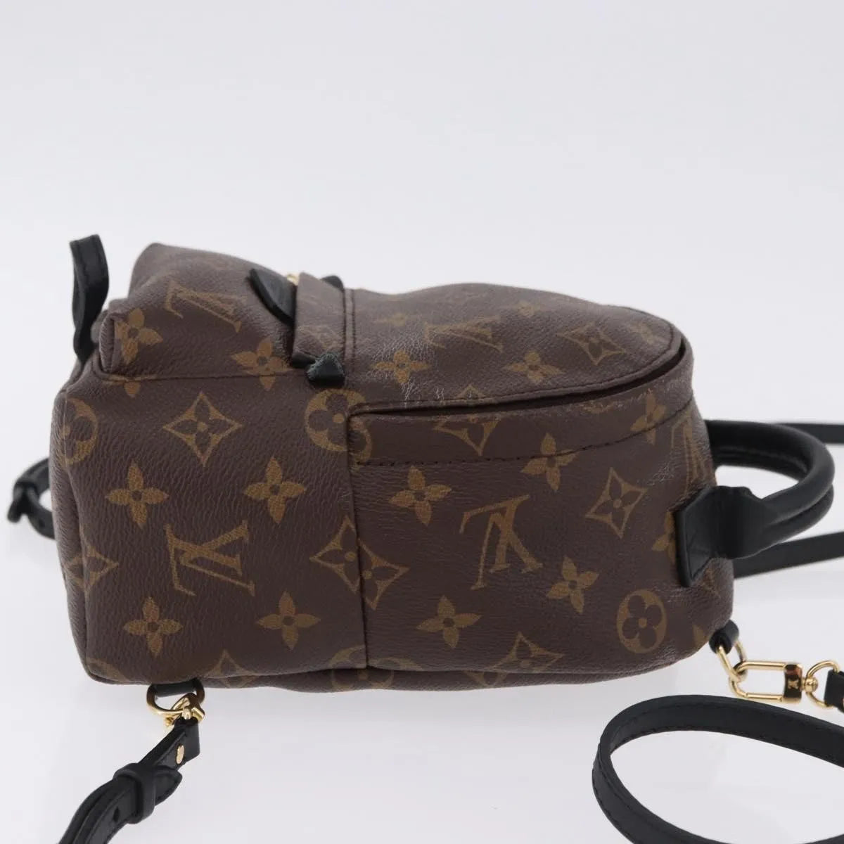 Louis Vuitton Palm Springs Monogram Brown Canvas Backpack Bag (Pre-Owned)