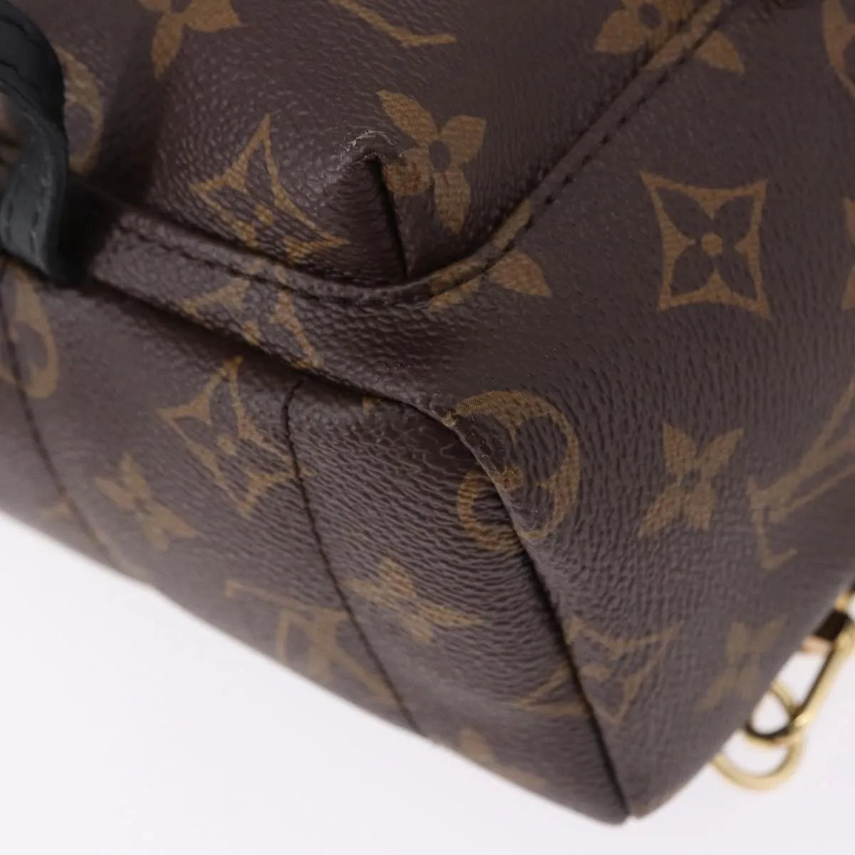 Louis Vuitton Palm Springs Monogram Brown Canvas Backpack Bag (Pre-Owned)