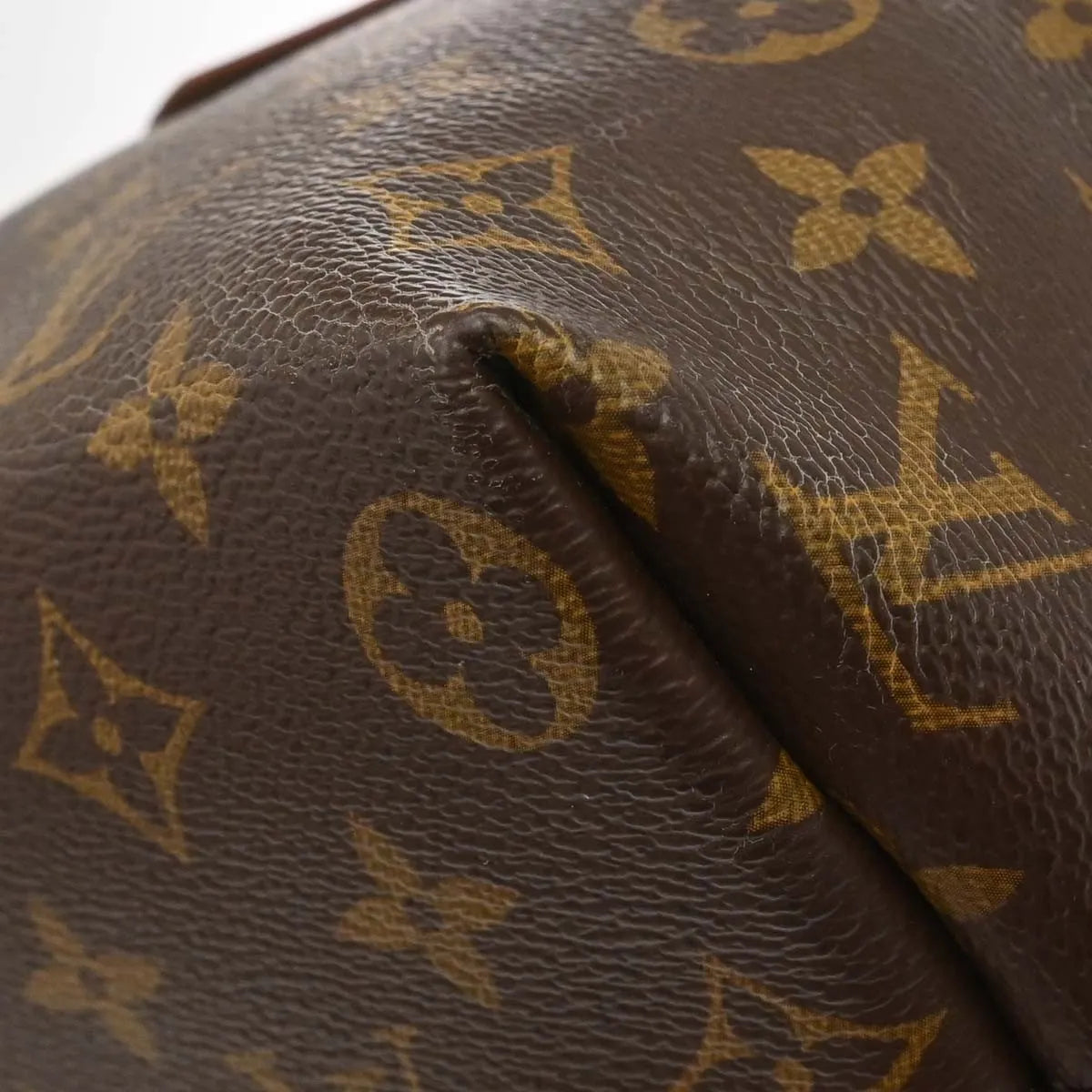 Louis Vuitton Iena Tote Monogram Canvas Brown Canvas Tote Bag Bag (Pre-Owned)