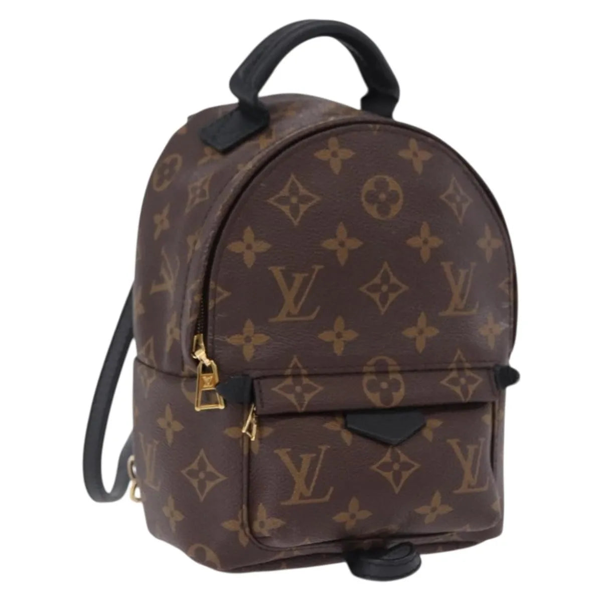 Louis Vuitton Palm Springs Monogram Brown Canvas Backpack Bag (Pre-Owned)