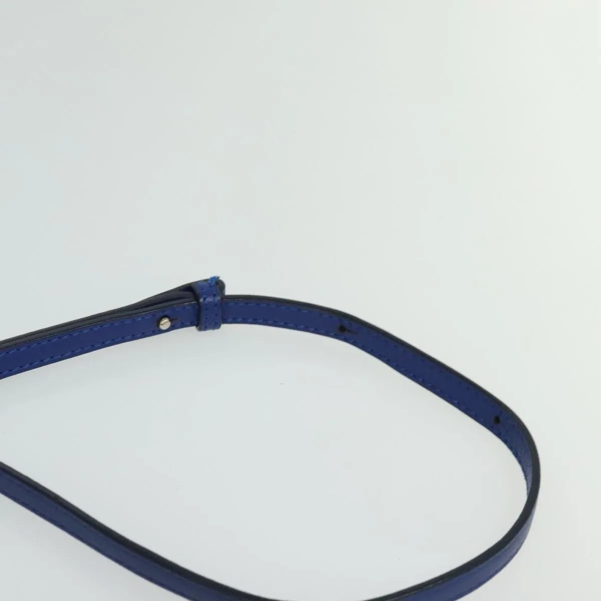 Celine Trio Leather Blue Leather Shoulder Bag Bag (Pre-Owned)